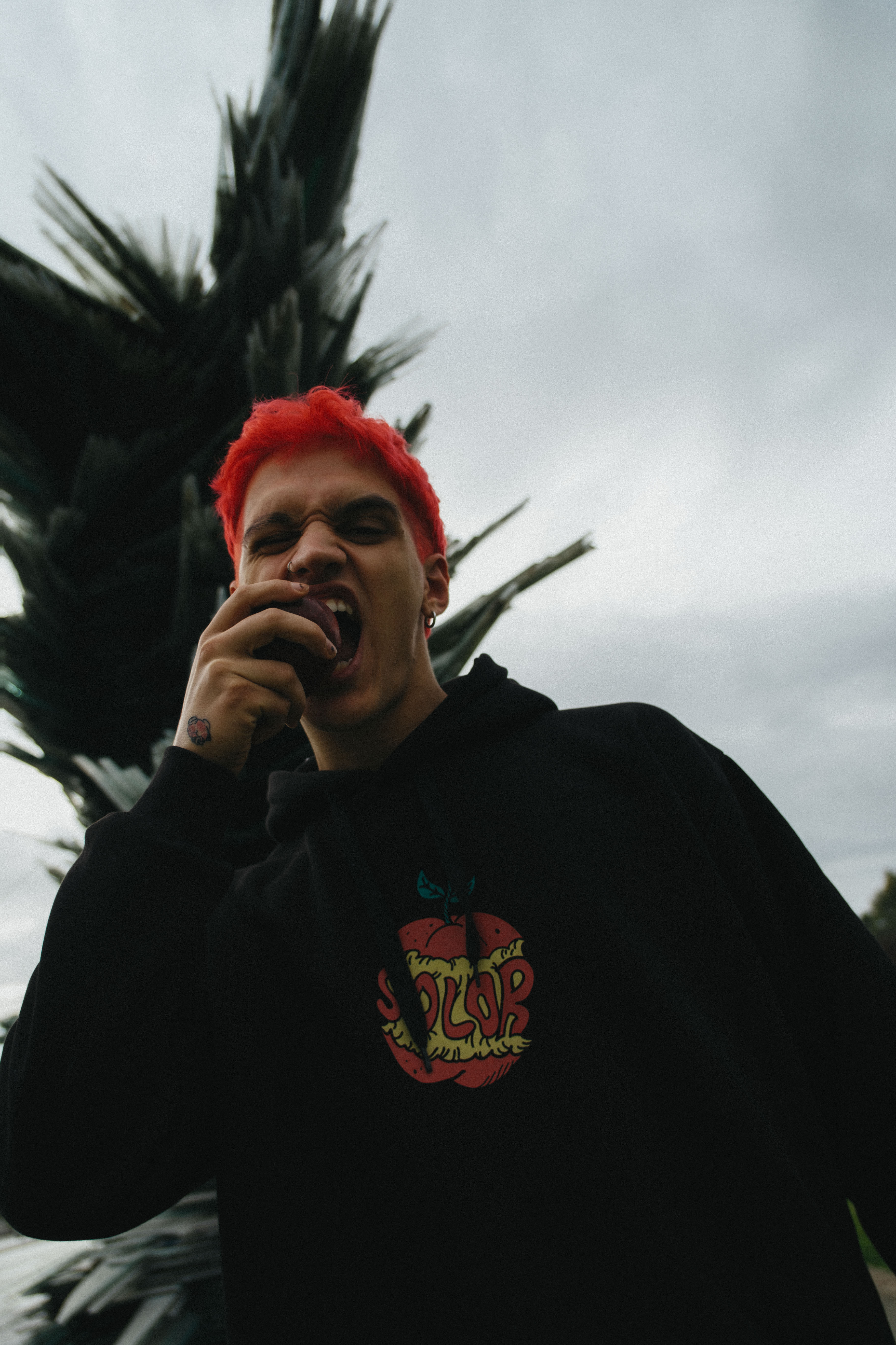 Chapter Five: Let’s Try Again